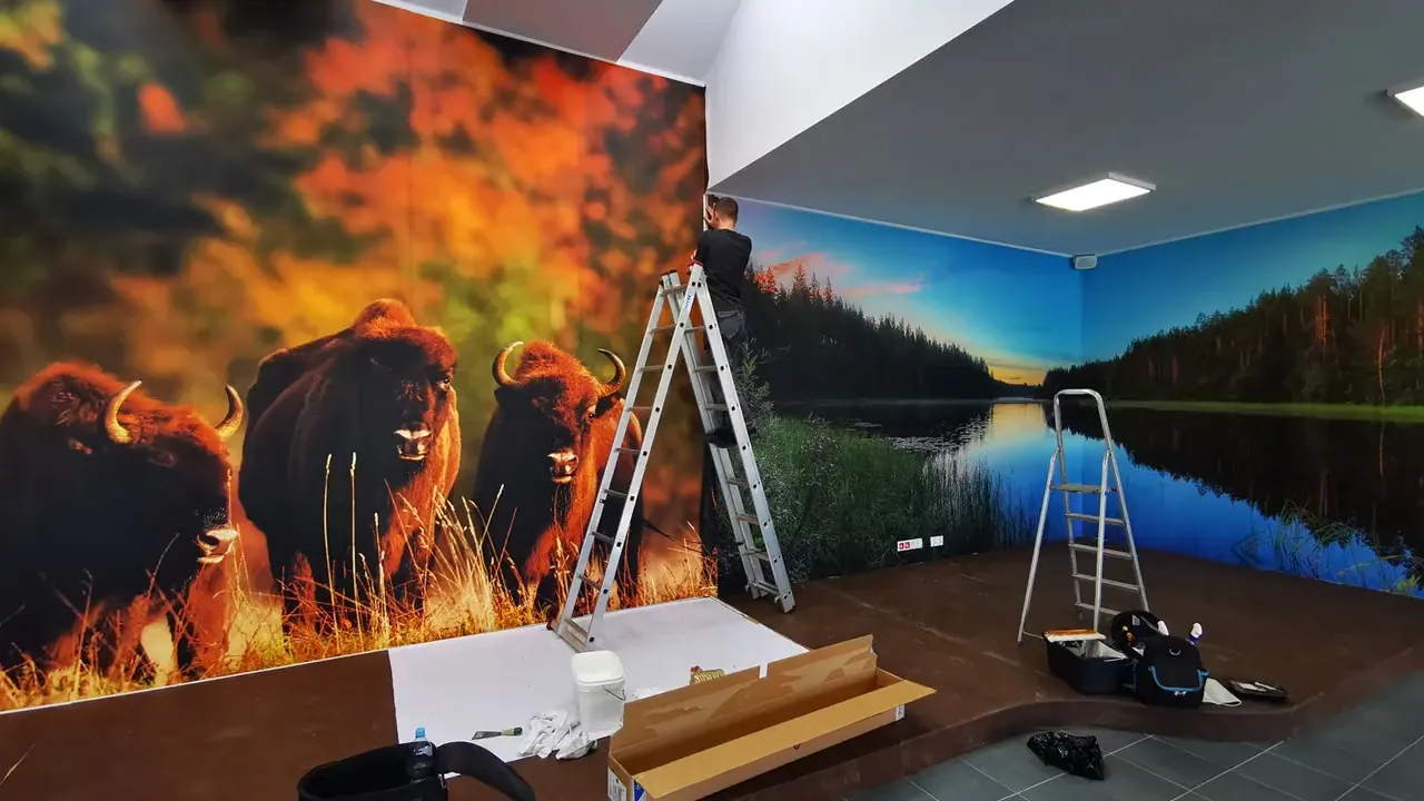 Grafika ścienna – kadr z filmu Media Design